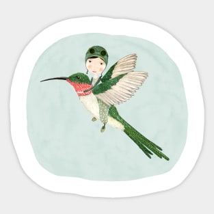 Hummingbird Flyer Sticker